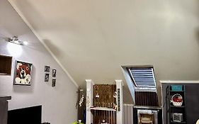 Schitterend Appartement In Het Centrum Van Amsterdam